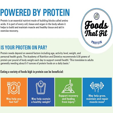 Foods that Fit Protein Infographic | More | Meal Type | Bell Institute